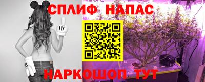 СК Конаково