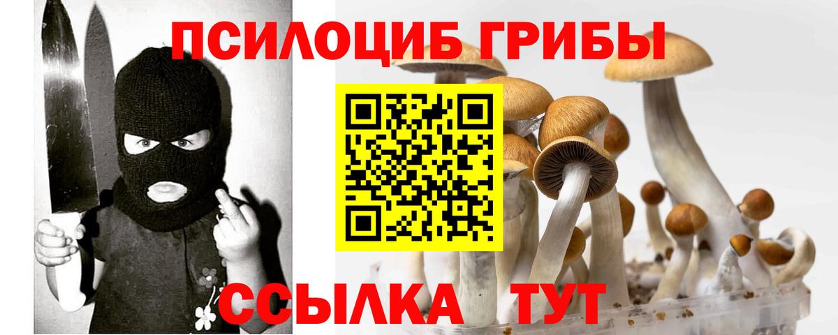 Галлюциногенные грибы Psilocybe  купить   Черкесск  Вход с VPN 