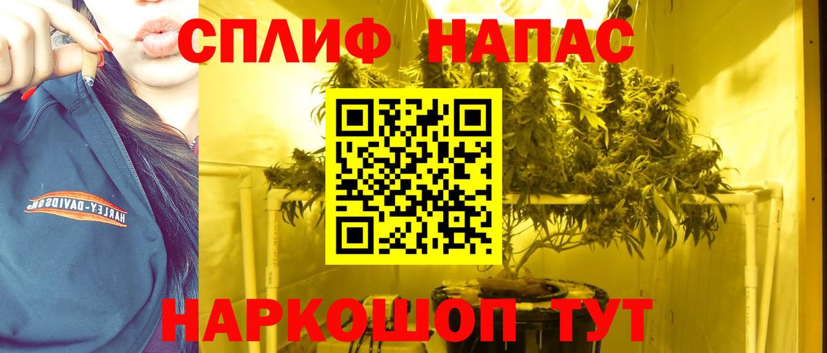 Черкесск  Шишки марихуана White Widow  Конопля план  Вход с VPN  Конопля конопля 